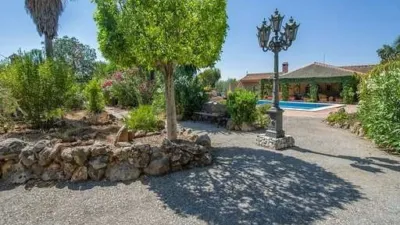 Rustic Finca in Centro photo 16