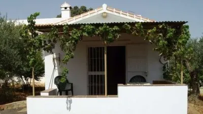 Rustic Finca in Centro photo 23