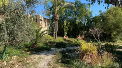 House in La Almadraba-Coveta Fumà-Amerador photo 55