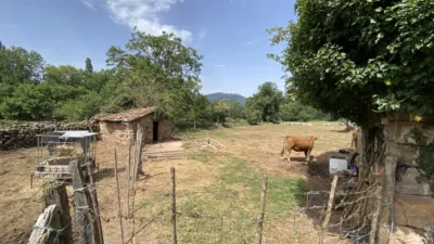 House on Calle Bo San Juan Raicedo photo 13