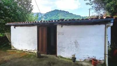 House in Agüeras de Quirós photo 29