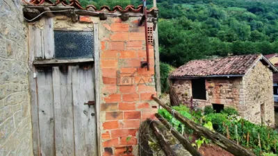 House in Agüeras de Quirós photo 40