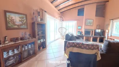 House in Mas Trader-Corral Den Tort-Corral Den Cona photo 57