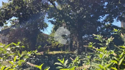 House in Casal-Entrimo photo 19