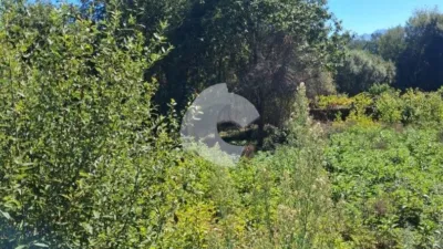 House in Casal-Entrimo photo 3