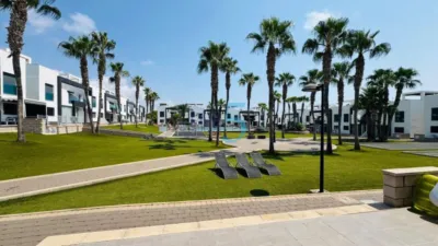Apartment in La Zenia photo 15