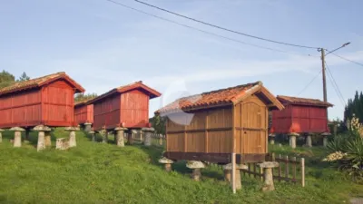 Terraced house in Castrelo de Miño photo 10