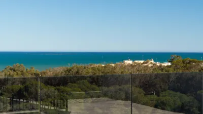Apartment in Guardamar del Segura photo 39