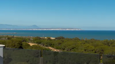 Penthouse in Guardamar del Segura photo 38