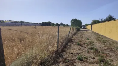 Finca rústica en Vejer de la Frontera photo 3