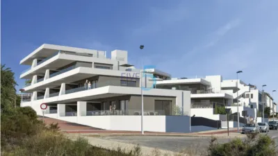 Pis – Elche, el Pinet, la Marina - Vista 5