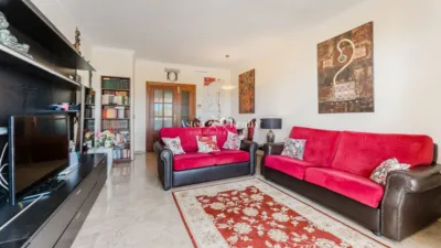 Apartment on Calle Alcalde Juan Dorta Garcia photo 5