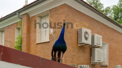 Chalet in Salamanca District photo 21