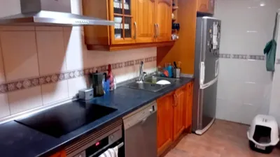 Miniatura 11