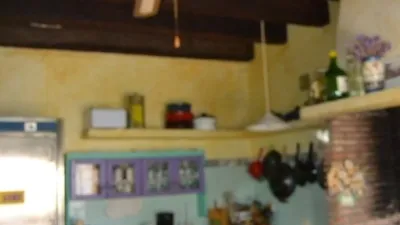 Rustic finca on Calle Cortijo Campo Feliz, No. S/N photo 35