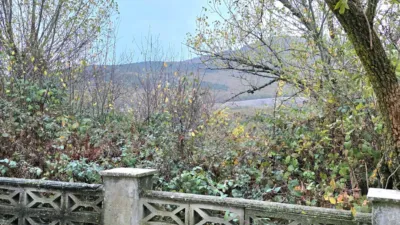 House on Monte Street photo 8