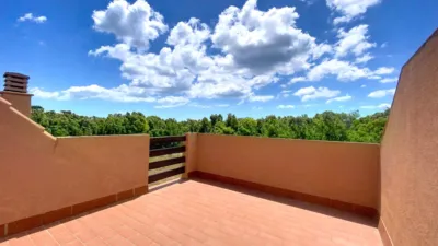 Duplex Penthouse in Casares Costa photo 30