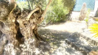 House in Valldemar-Calafell Parc-Mas Romeu photo 71
