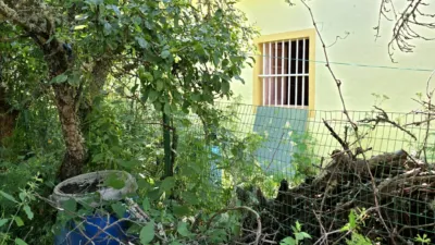 House on Calle Cm Callejas Ru P photo 51