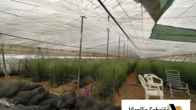 Rustic farm in Centro-Northeast Zone photo 3