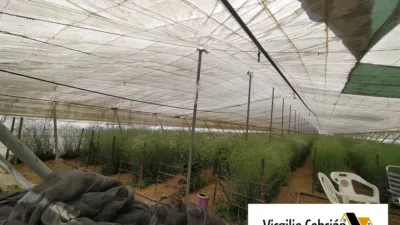 Rustic farm in Centro-Northeast Zone photo 7