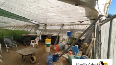 Rustic farm in Centro-Northeast Zone photo 8