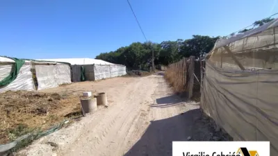 Rustic farm in Centro-Northeast Zone photo 9