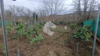 House in Leiro photo 36