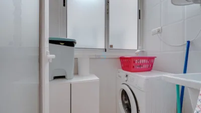 Apartment in Playa Flamenca photo 12