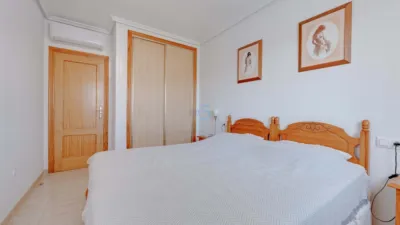 Apartment in Playa Flamenca photo 14