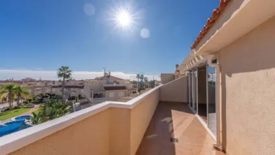 Apartment in Playa Flamenca photo 29