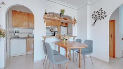 Apartment in Playa Flamenca photo 8