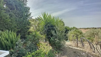 Rustic Finca in Casco Antiguo photo 30