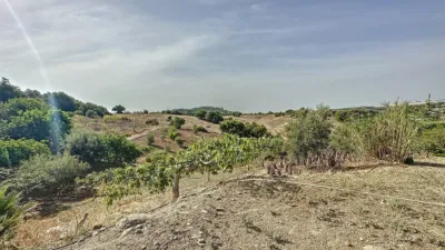 Rustic Finca in Casco Antiguo photo 35