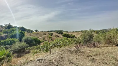 Rustic Finca in Casco Antiguo photo 36