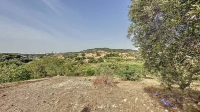 Rustic Finca in Casco Antiguo photo 38