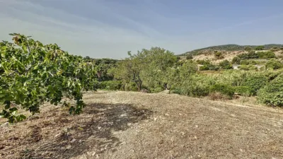 Rustic Finca in Casco Antiguo photo 40