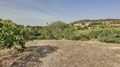 Rustic Finca in Casco Antiguo photo 41