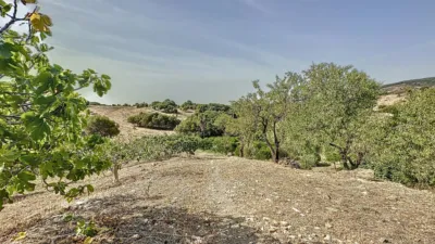 Rustic Finca in Casco Antiguo photo 43