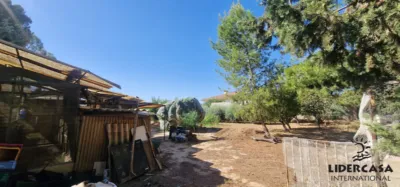 Chalet in Alhama de Murcia photo 40