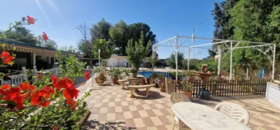 Chalet in Alhama de Murcia photo 45