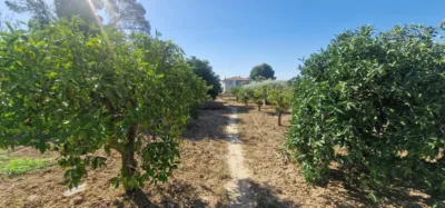 Chalet in Alhama de Murcia photo 55