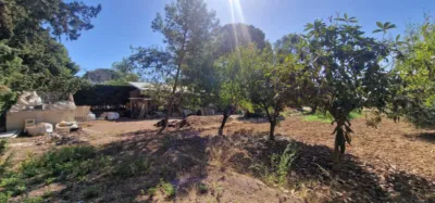Chalet in Alhama de Murcia photo 56