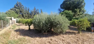 Chalet in Alhama de Murcia photo 58