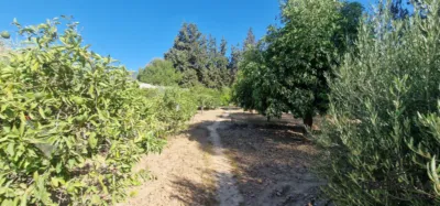 Chalet in Alhama de Murcia photo 61