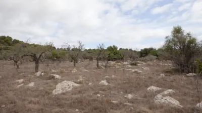 Finca rústica en venta en Artà, Artà de 1.800.000 €