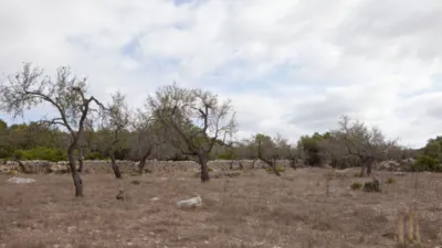 Finca rústica en venta en Artà, Artà de 1.800.000 €