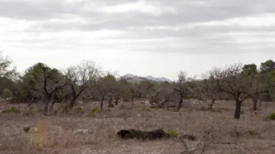 Finca rústica en venta en Artà, Artà de 1.800.000 €