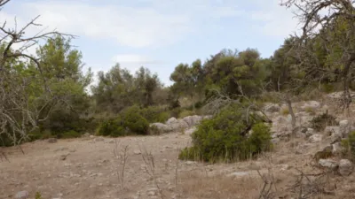 Finca rústica en venta en Artà, Artà de 1.800.000 €