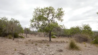 Finca rústica en venta en Artà, Artà de 1.800.000 €